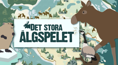 Students Launch Moose Game in Collaboration with Swedish Television